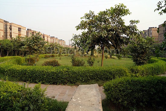 Business Central Ikon