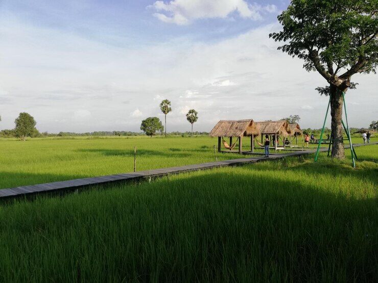 Plot Amoda Sari